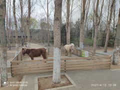 -沈阳鸟岛