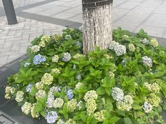 -铁像寺水街
