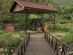 -金钉子远古世界景区