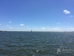 -碧海金沙