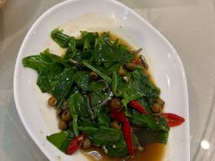 丁香炒山苏-百家班(市府店)