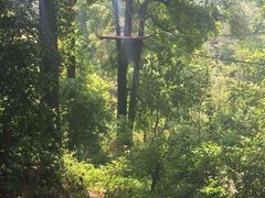 -清迈丛林飞跃 JungleFlight