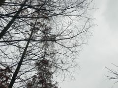 -重庆彩云湖湿地公园