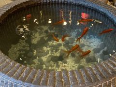 -帅巴人舅母子腊蹄民俗村