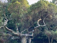 -草庵摩尼教遗址公园