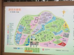 -广东茂名森林公园