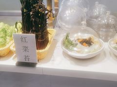 -紫光园·烤鸭·北京菜(团结湖店)
