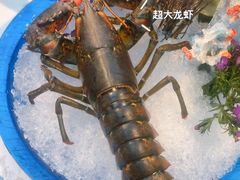 -半岛听涛蒸汽海鲜自助(K11店)