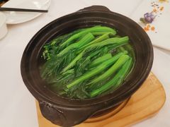 山泉水浸菜心-广州酒家(昌岗地铁站店)