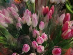 -循礼门鲜花花市(武汉循礼门店)