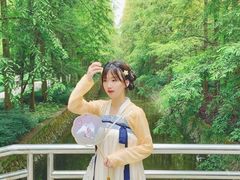 -水杉园