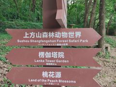 -苏州上方山国家森林公园
