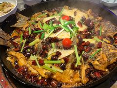 -老板恋上鱼(恒隆广场店)