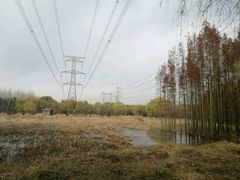 -昆山城市生态森林公园