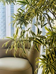 -深圳芙必优医疗美容·抗衰中心