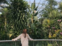 -北京植物园-展览温室