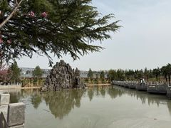 -神州牡丹园