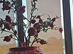 -点都德(广州白云山景区南门店)