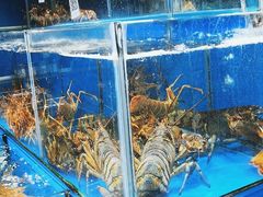 -岳各庄批发市场(西四环中路店)