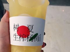 -树夏(金楠天街店)