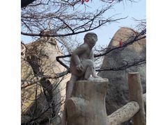 -崂山巨峰游览区