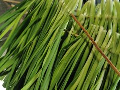 韭菜-真鱿味· 铁板烤串炸串(融元广场店)