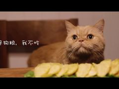 -青瓷火锅料理(西单大悦城店)