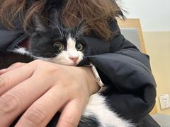 -美联众合动物医院·24h转诊中心