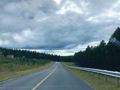 -塞罕坝国家级自然保护区