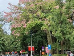 -广东金融学院(校本部)