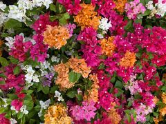 -莲花公园煎蟹·30年闽菜(火车站店)