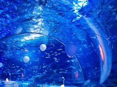 -江和美海洋公园
