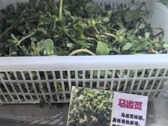 -黔府豆米火锅野菜馆(南马店)