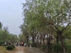 -绿堤公园