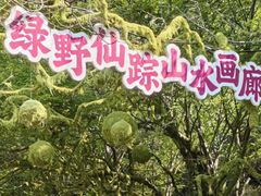 -青檀寺景区