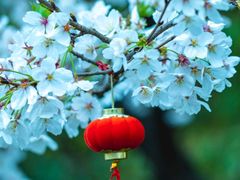 -幕燕滨江·燕子矶公园
