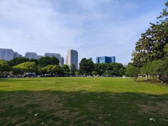 -红梅公园