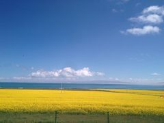 -青海湖国家重点风景名胜区