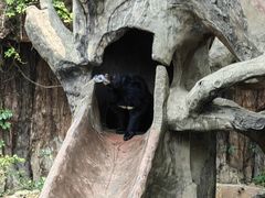 -长鹿旅游休博园