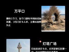 -日照海滨国家森林公园