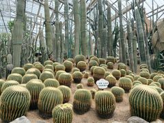 -南山植物园