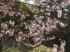 -黑龙潭风景区