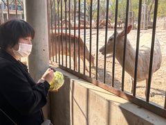 -石家庄市动物园