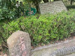 -上海佘山国家森林公园天马山园