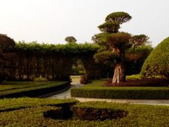 android_upload_pic-南宁南湖公园