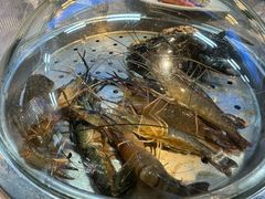 -争先鲜·蒸汽海鲜自助·鲜切牛肉