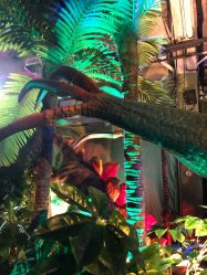 -恐龙探索乐园(磁器口店)