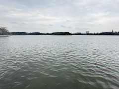 -海珠湖公园