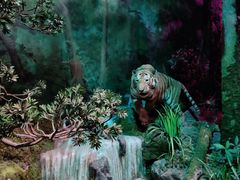 -武汉园博园(武汉自然博物馆)