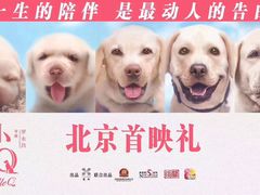 -天幕新彩云国际影城(激光巨幕店)